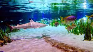 Sea Life in Oberhausen